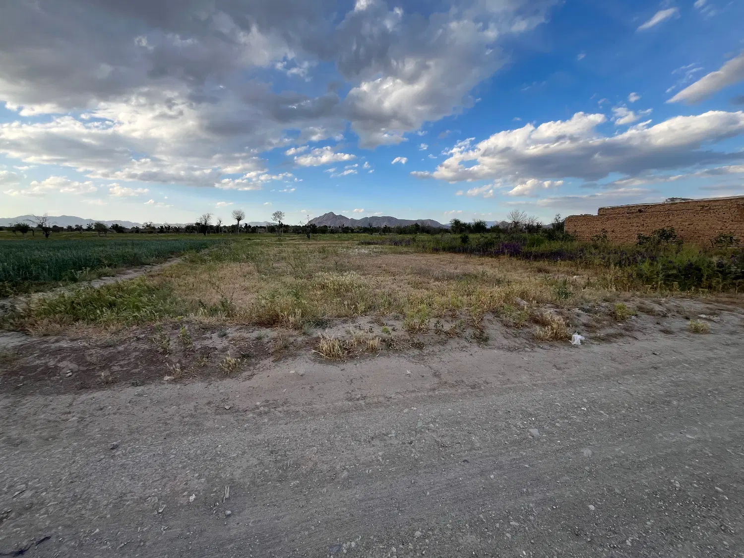 زمین با موقعیت مناسب برای باغ ویلا در روستای بنهنگ