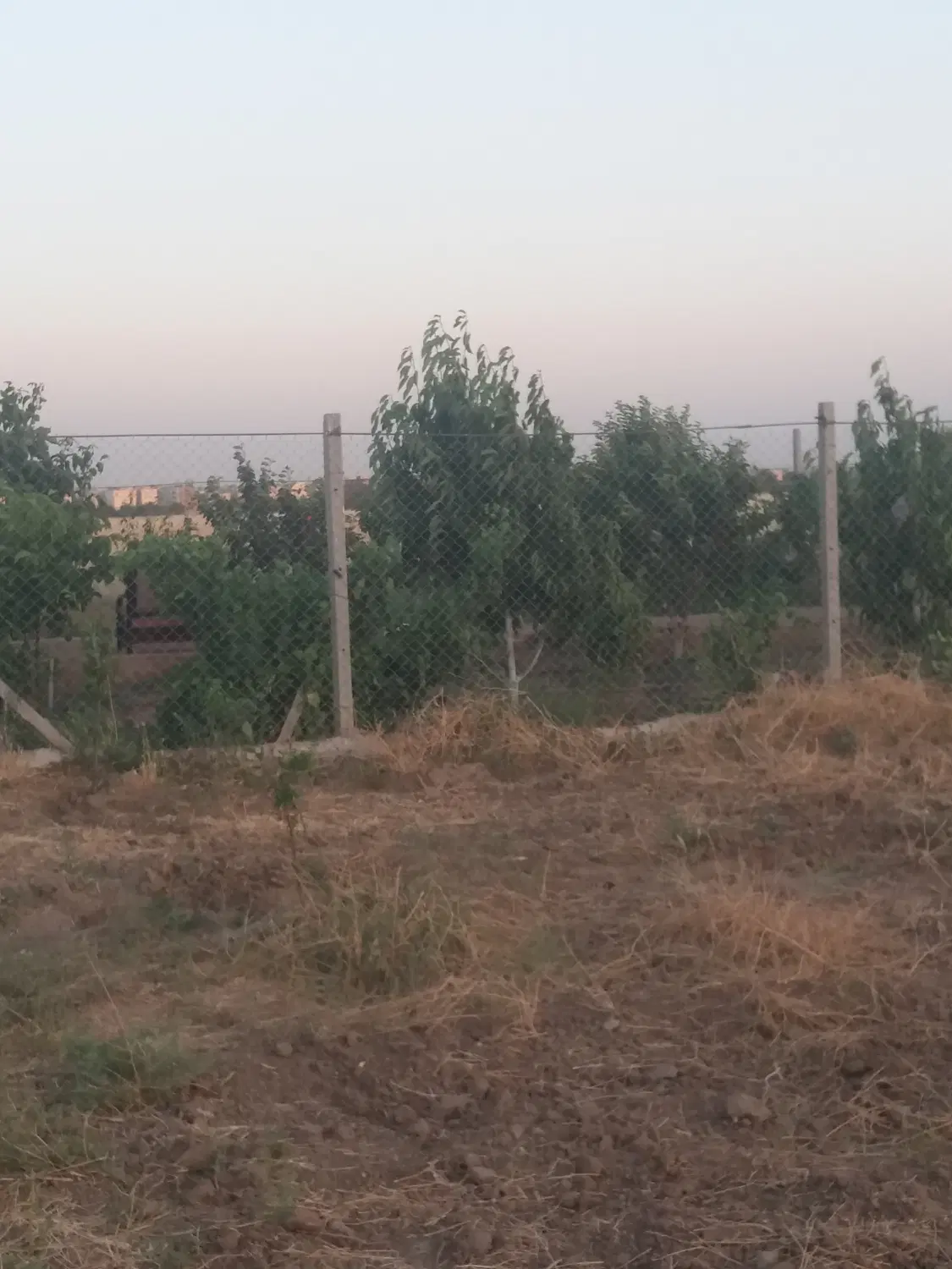 باغ ۱۰۰۰متری سند دارواب ثابت.بحر جاده کانال