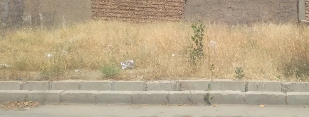 زمین مسکونی