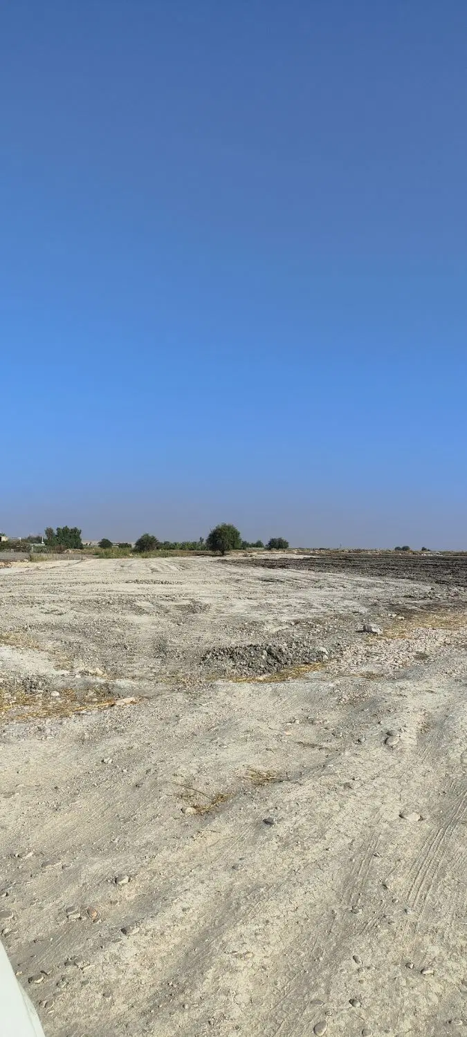 زمین باغی روستای سرطا