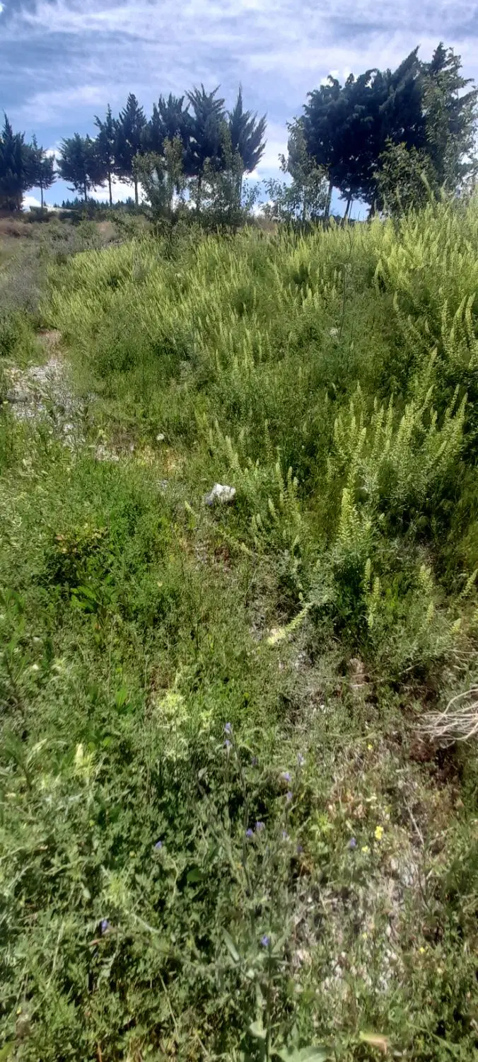 زمین مسکونی روستایی