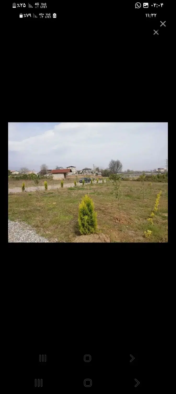 زمین بنیادی  چکی