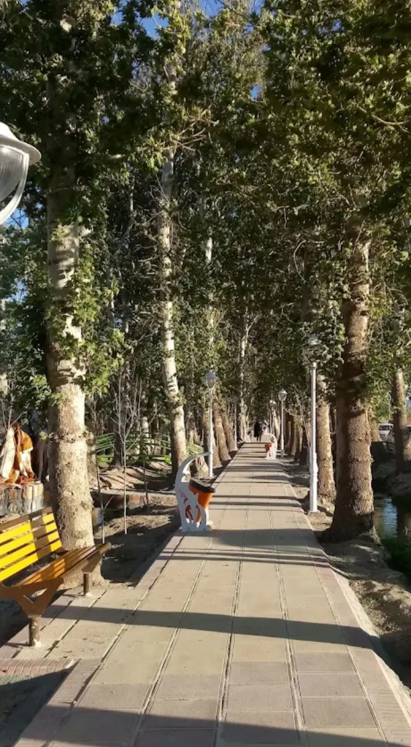 زمین مسکونی بیشه