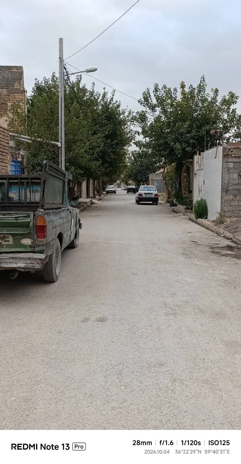 زمین 100