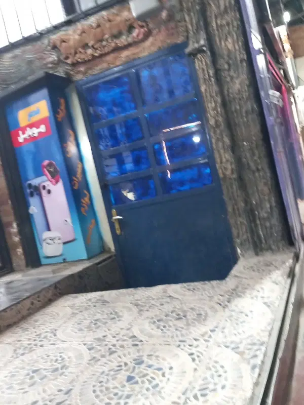 تجاری دونبش