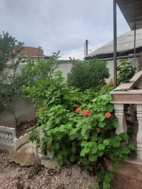 ویلا باغچه نقلی+مدارک کامل،+ساری +امنیت بالا