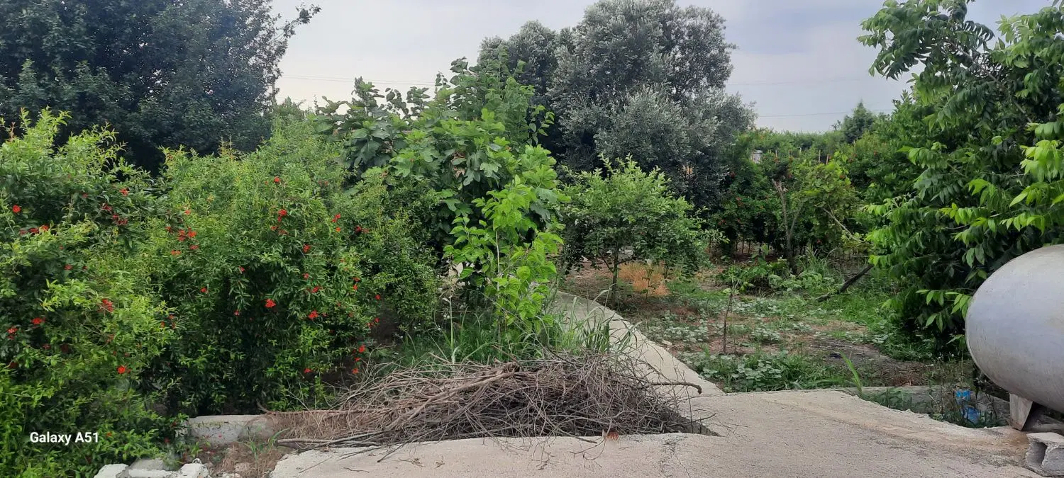 زمین روستایی کلاسنگیان