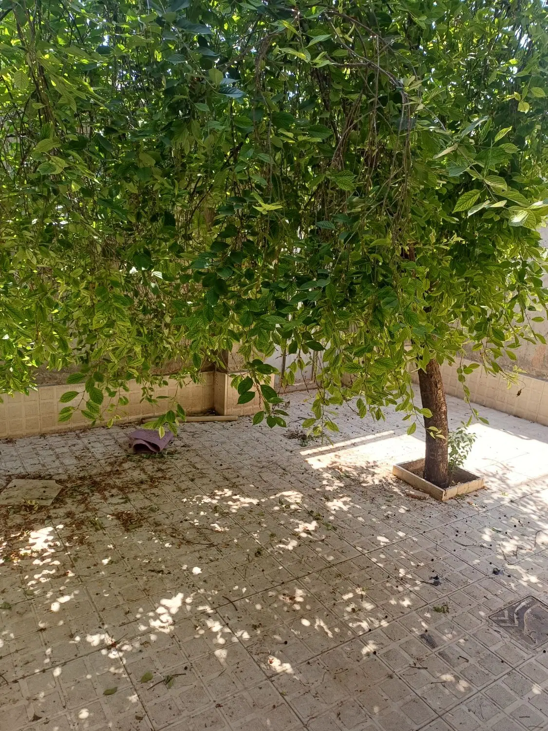 خانه حیاط دار در