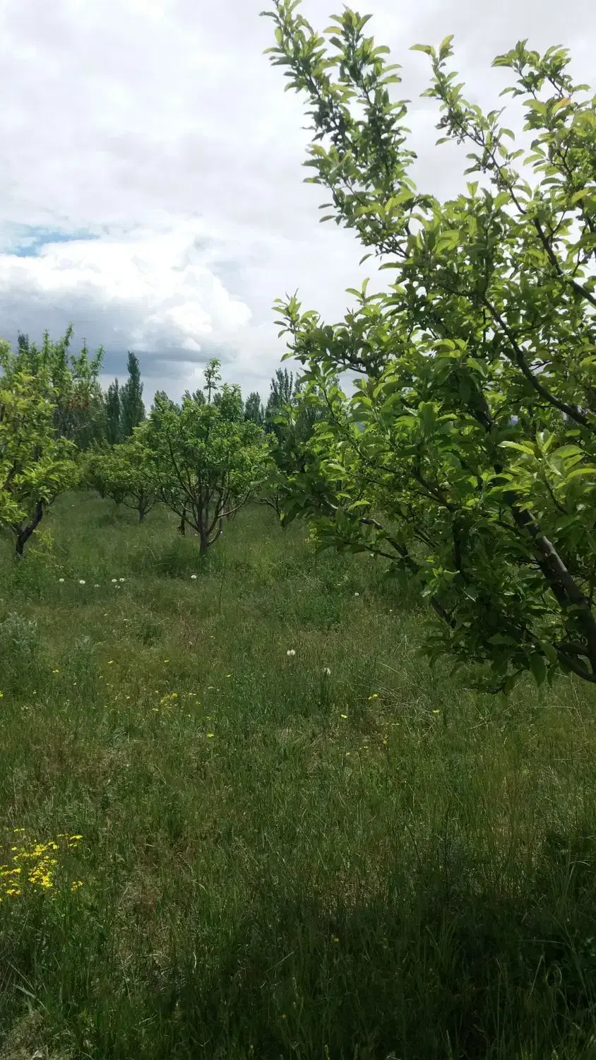 باغ بر جاده اصلی یاسوج ـ شیراز