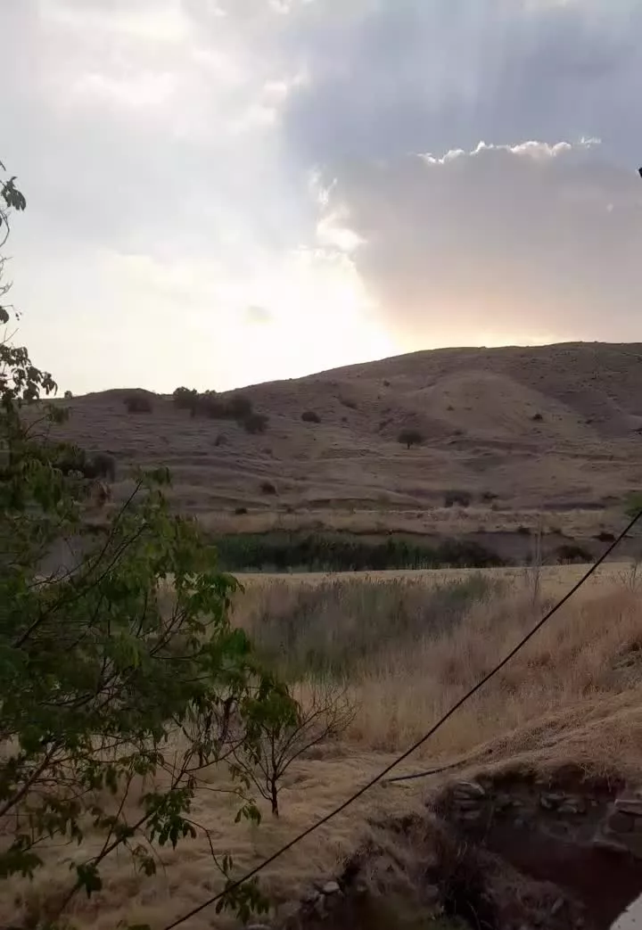 باغ