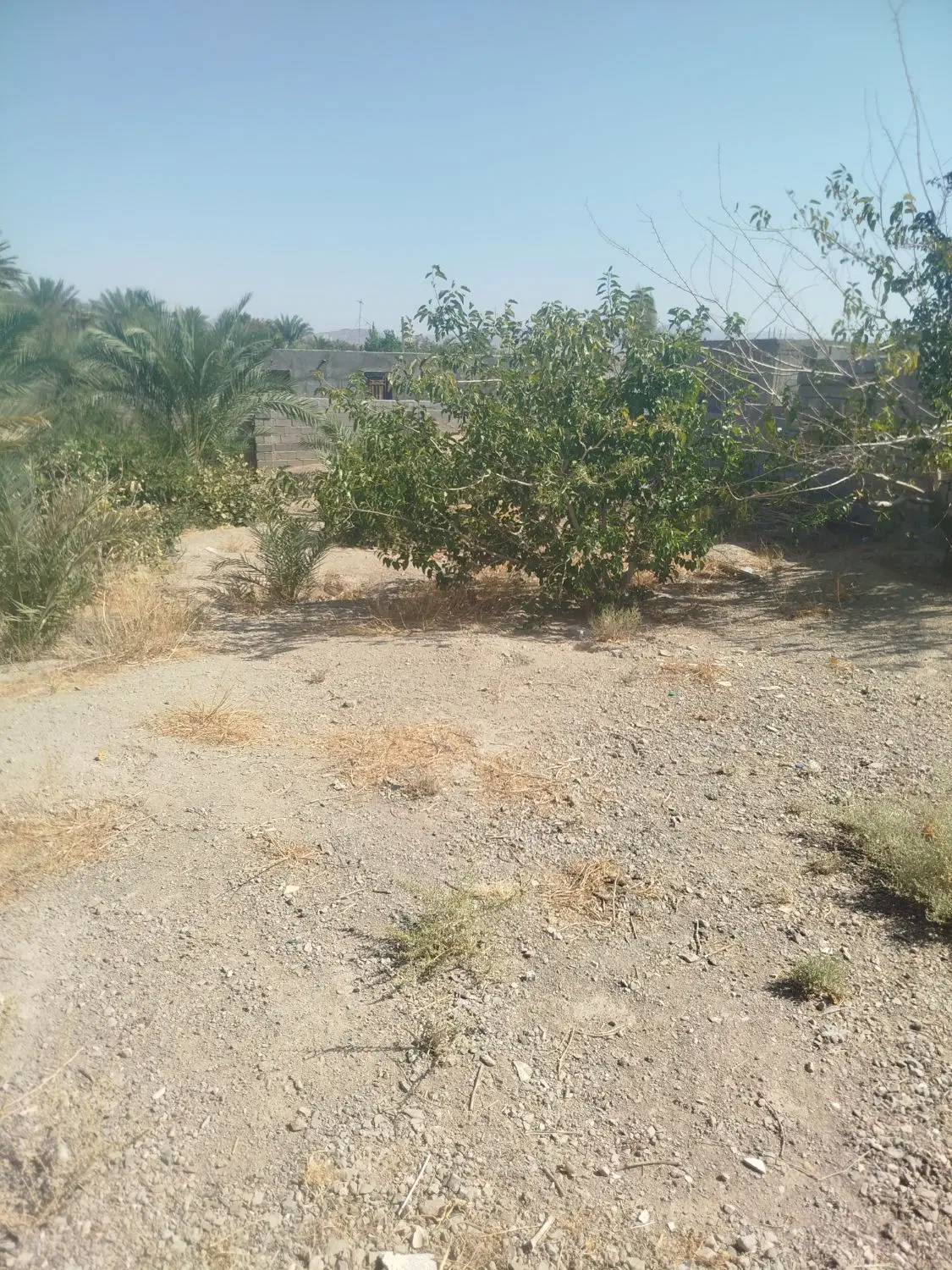 زمین فروشی