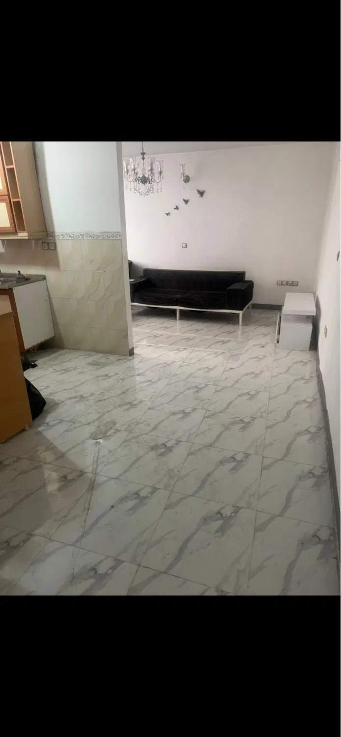 ۶۰ متر سند تکبرگ دامپزشکی قدراسهم دار