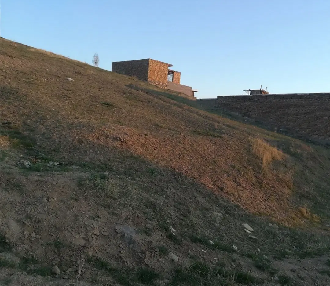 زمین