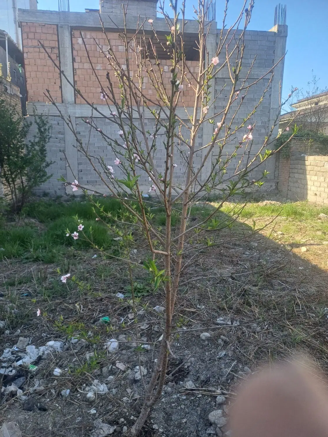 فروش زمین مسکونی سند قولنامه