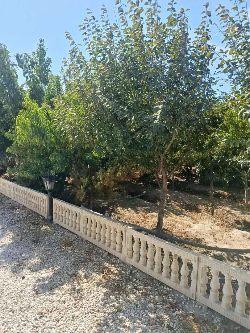 باغ‌ویلا ۷۴۰متر سند تک‌برگ