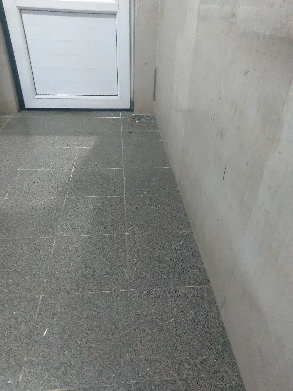 همخونه