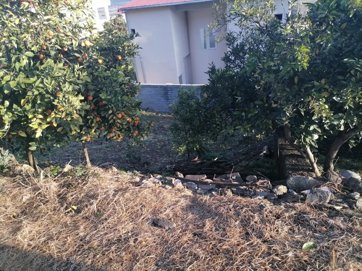 زمین مسکونی