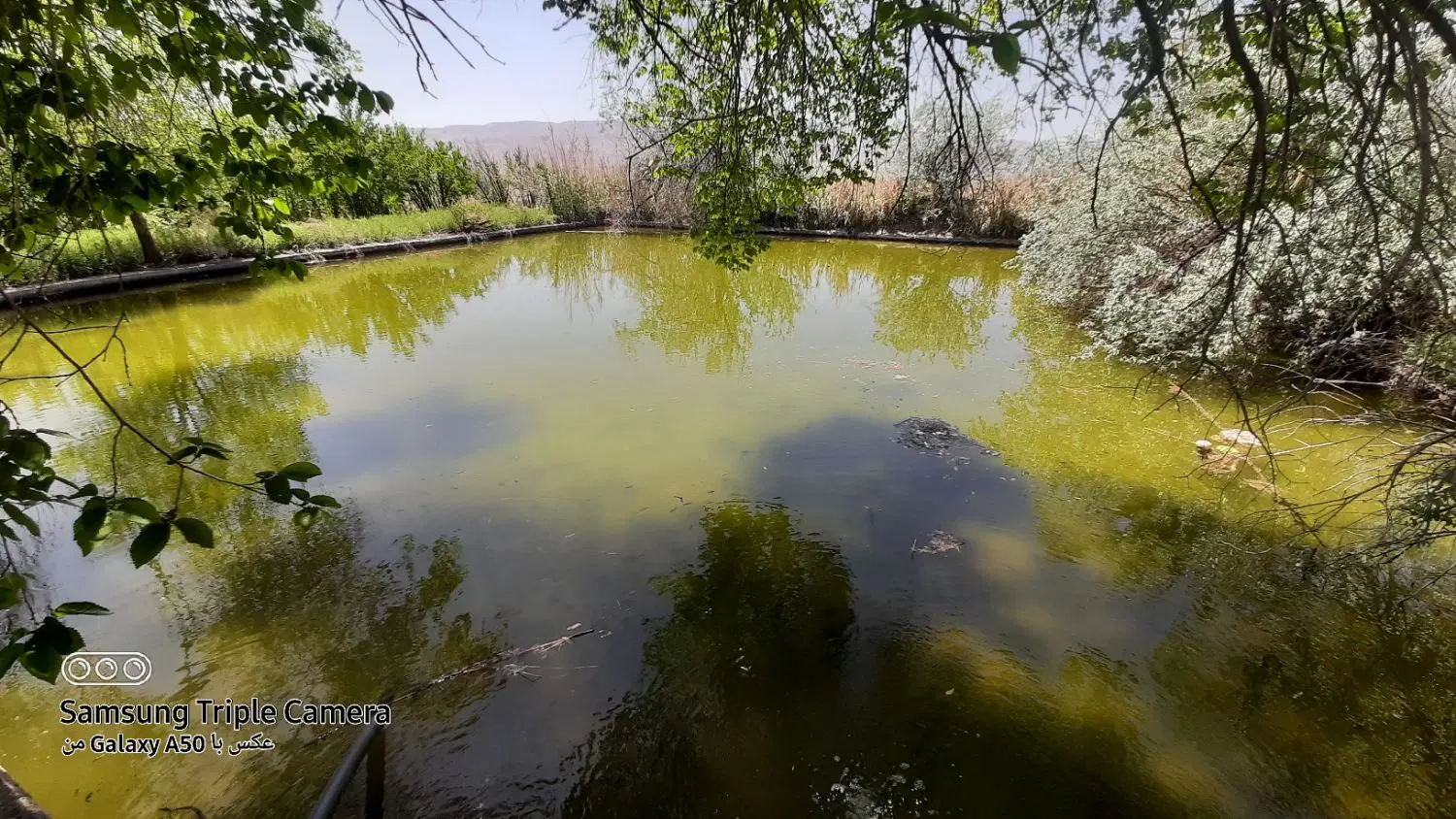 اجاره باغ و زمین کشاورزی