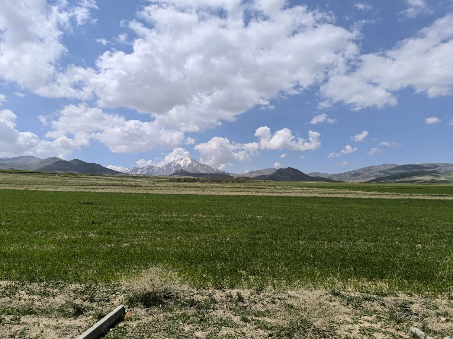 زمین باغی در سیمین زاغه