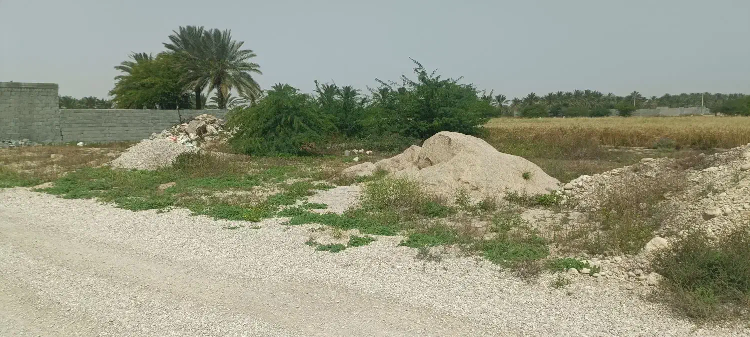 اجاره زمین کشاورزی