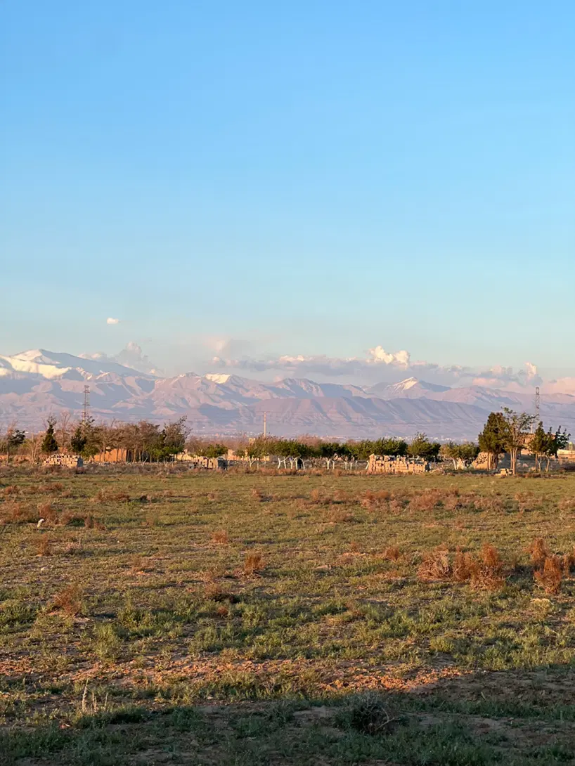 زمین