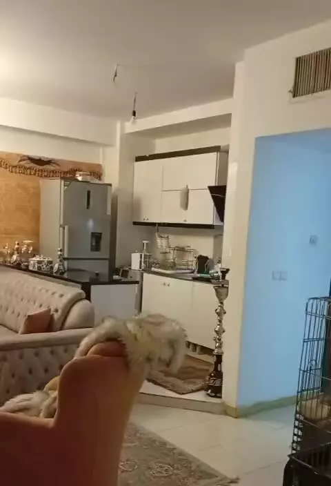 پروژه به نام فاز 4 شهر ری