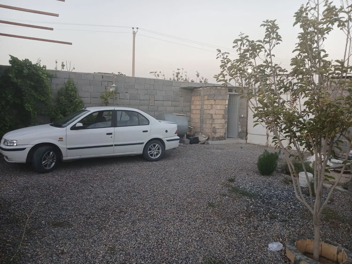 باغ