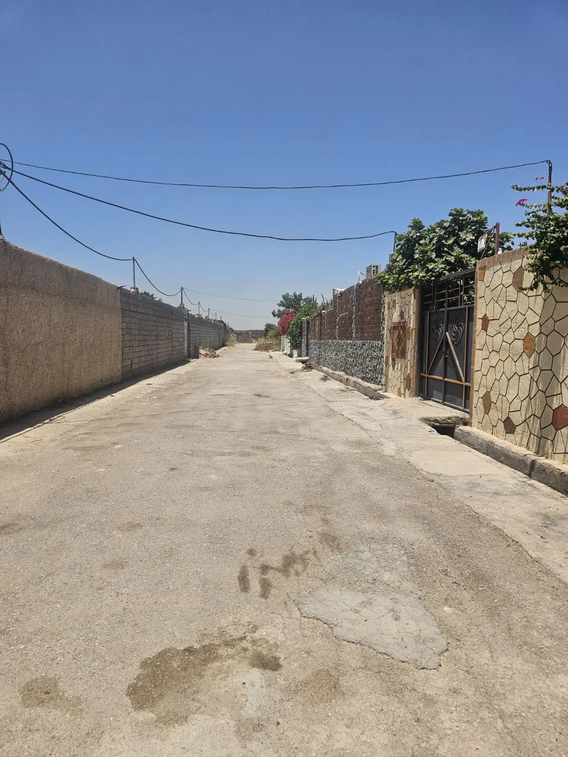 باغچه