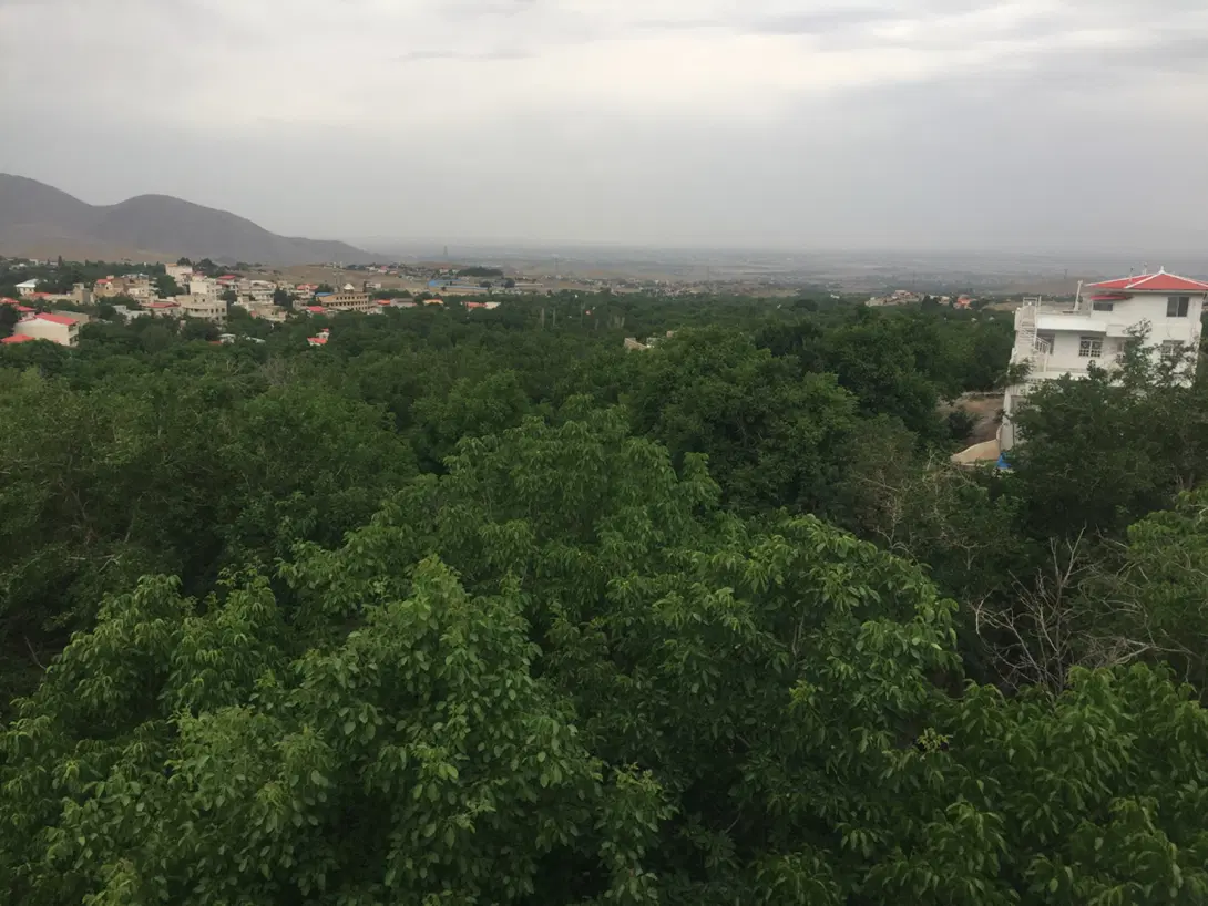 کوهسار کردان خوروین ولیان اجین دوجین