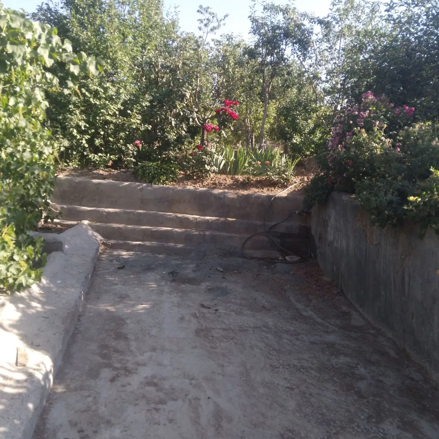 زمین باغ ویلا استخردار استانه
