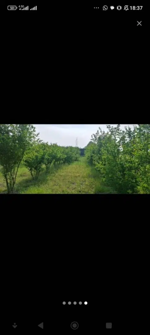 زمین فروشی کوهستانی