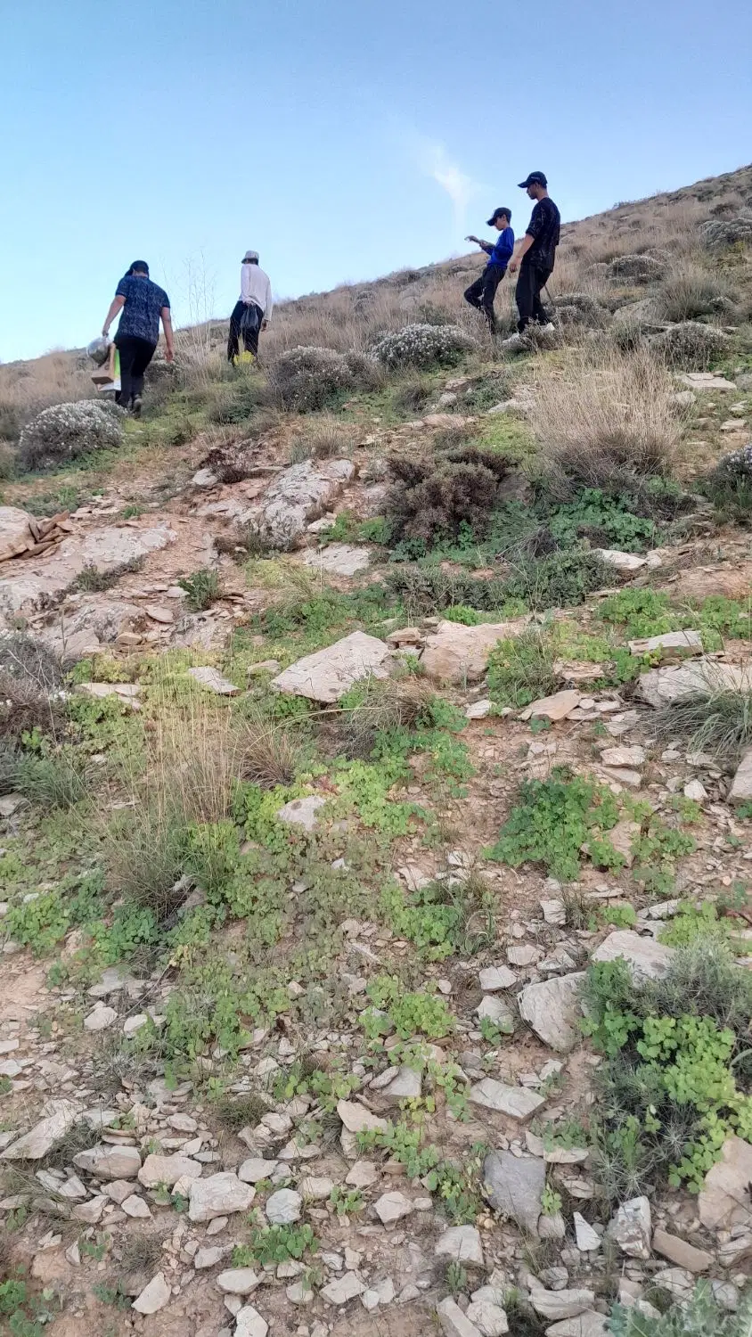 ۱۵۰ متر زمین روستای ریزمهاجران