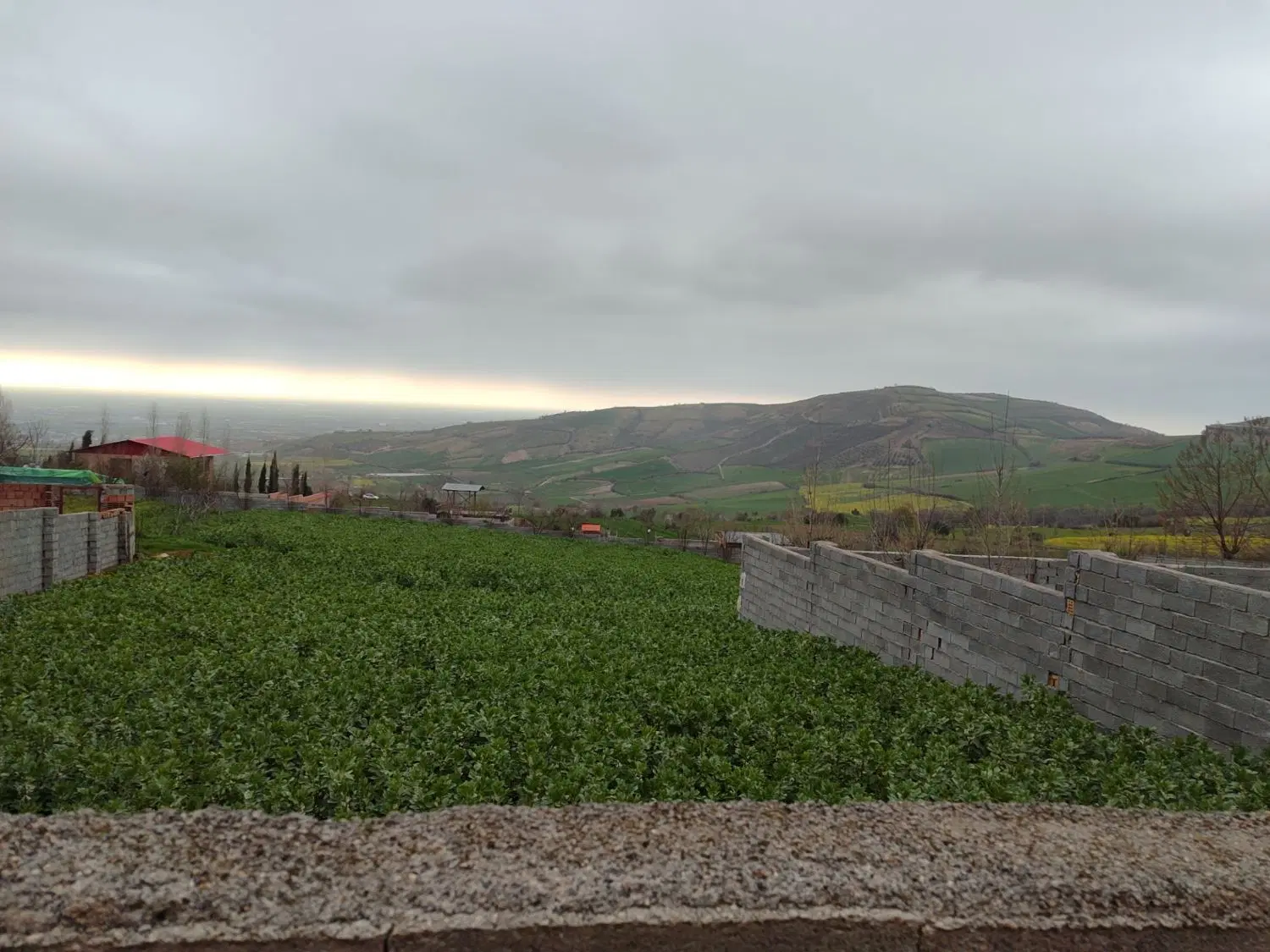 زمین مسکونی روستای نوچمن