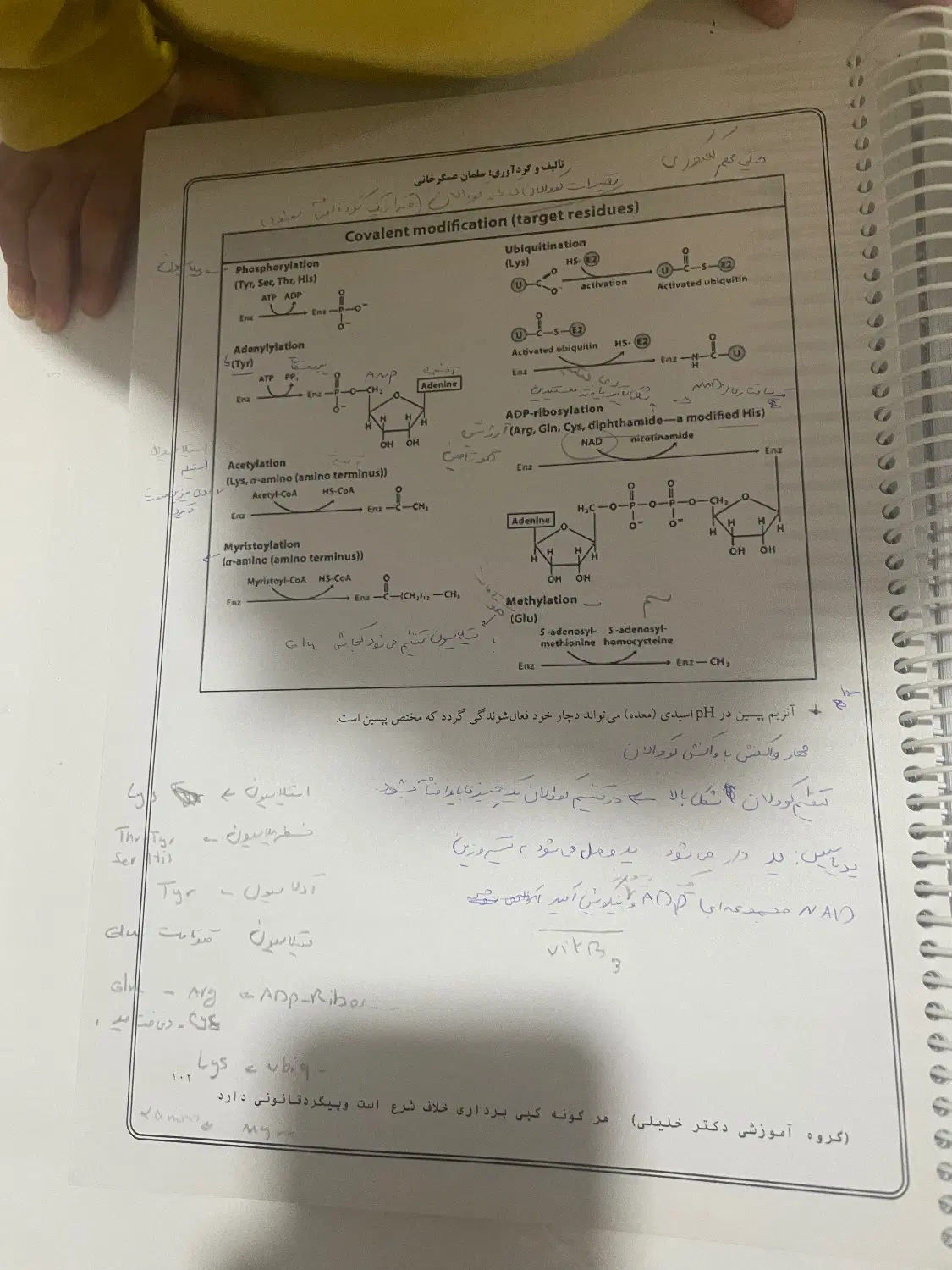 باغ گلمغان