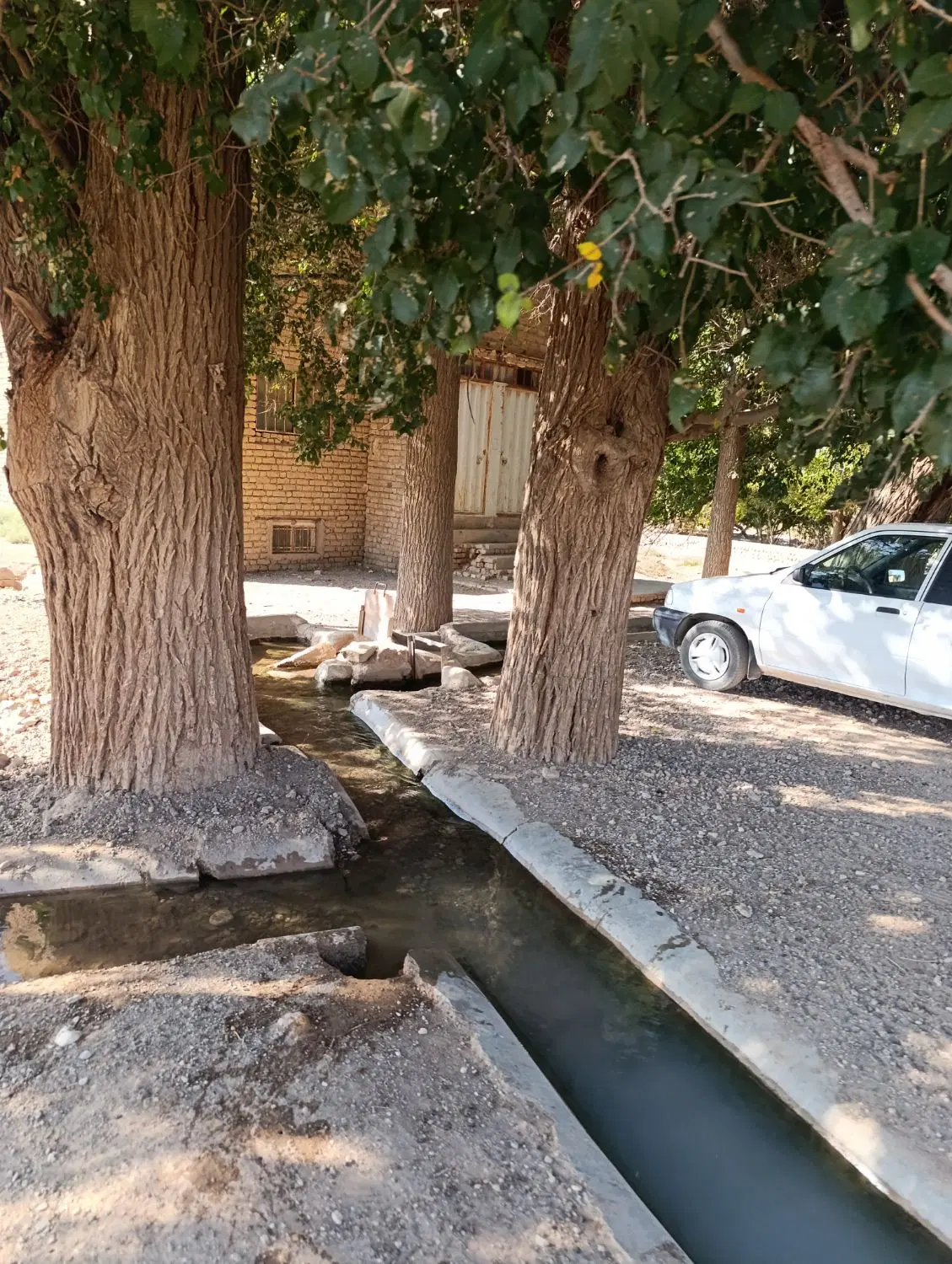زمین باغی