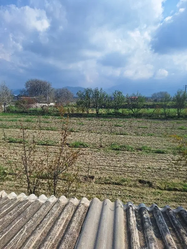 زمین کشاورزی