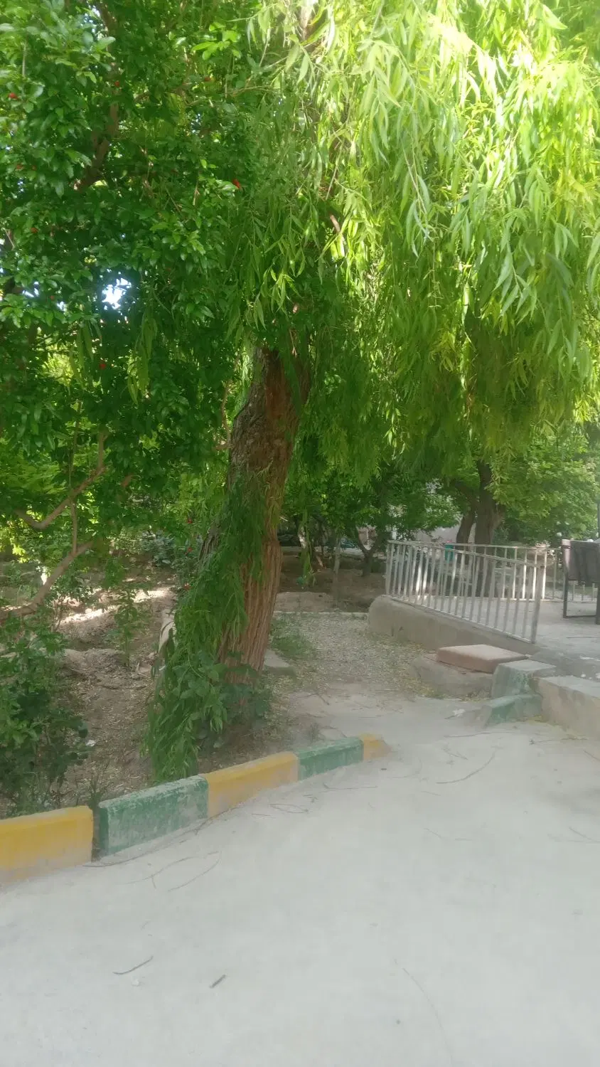 تهاتر تخصص ماست