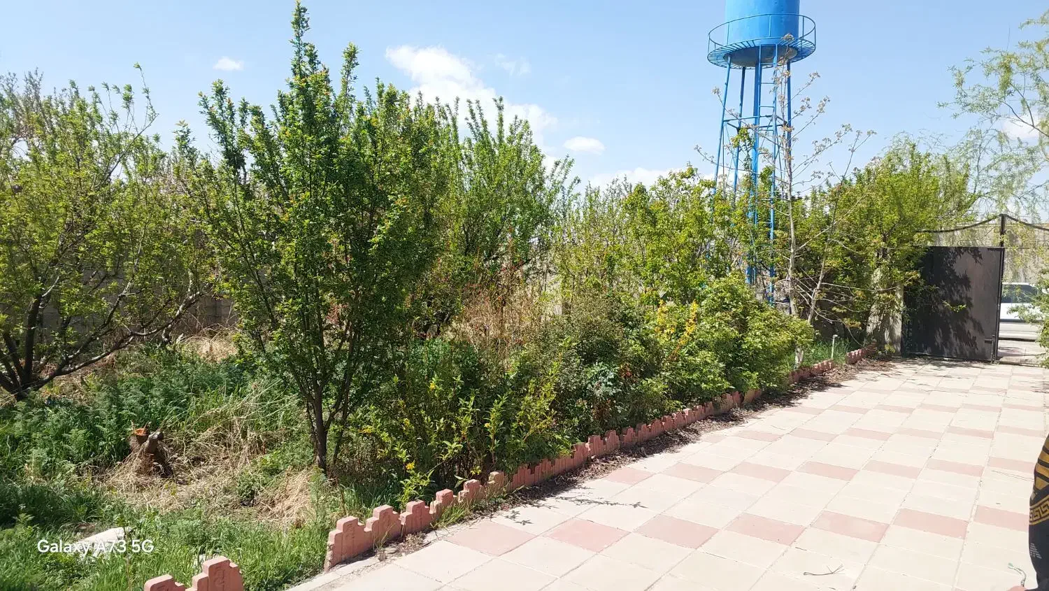 باغچه
