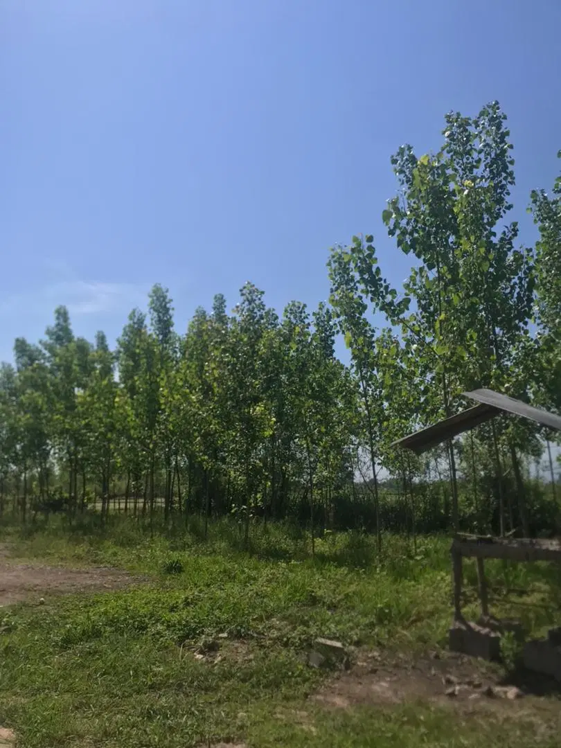 تهران برهمت ۲۱هزارمتروکریمخان بالای۲۰۰۰متر