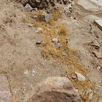 زمین قبر پاگر۳