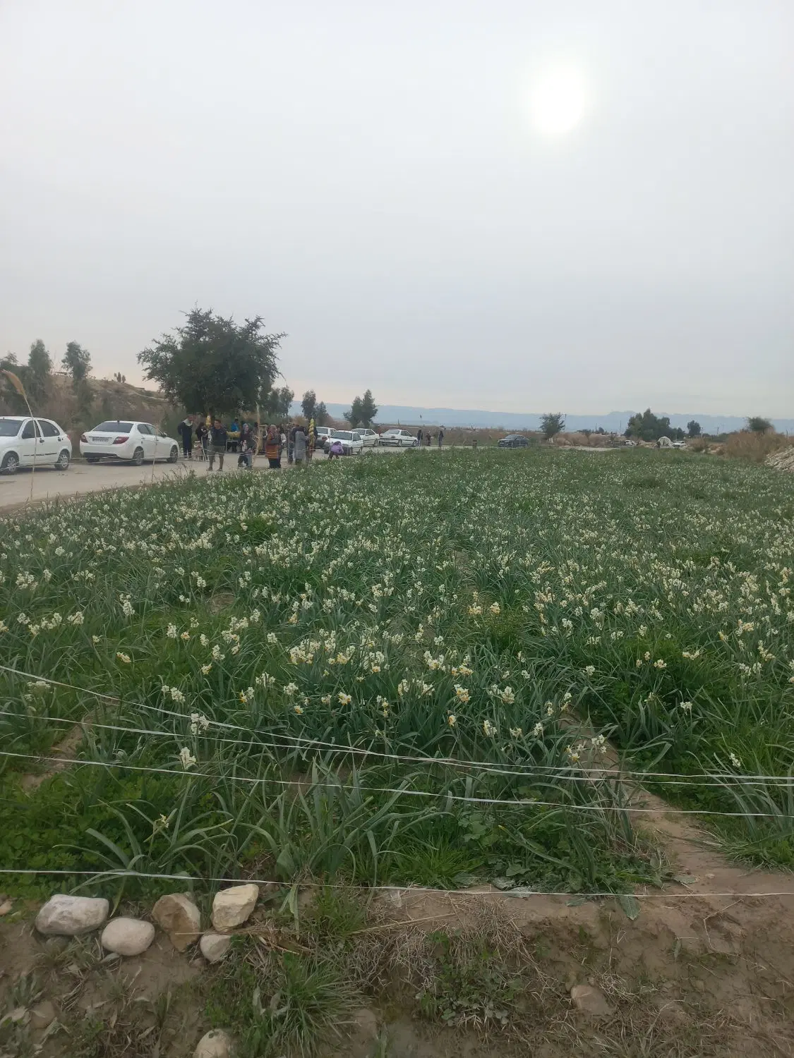 خانه قدیمی