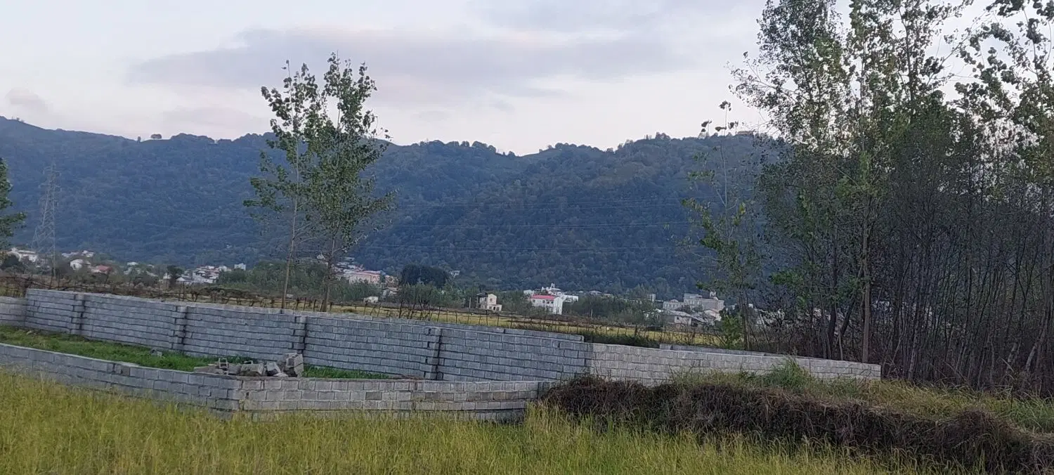 زمین ویو ابدی در نخجیر کلایه