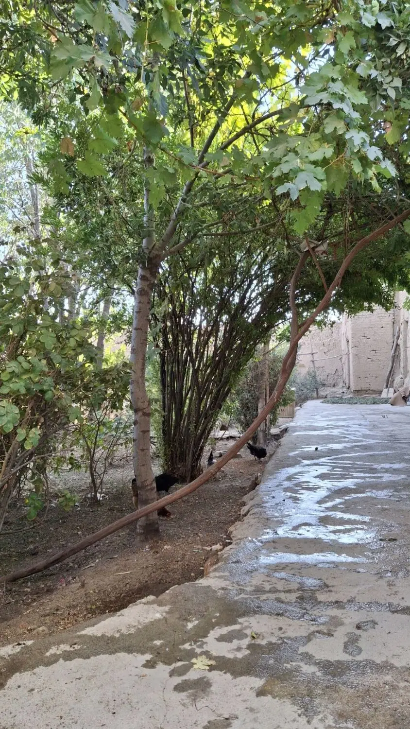 فروش امارت مسکونی با متراژ حدود 2000 متر
