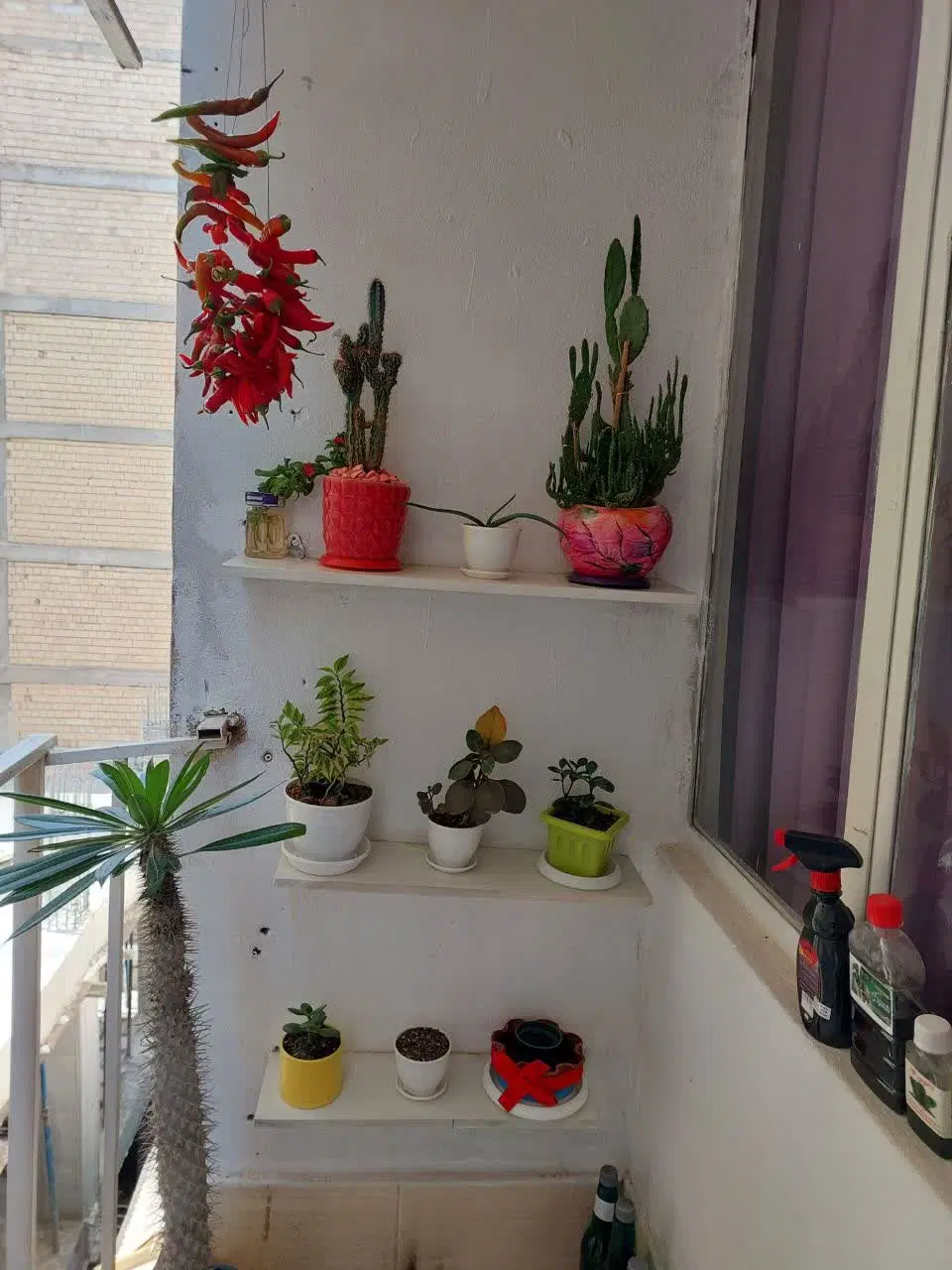 آپارتمان تمیز وشیک