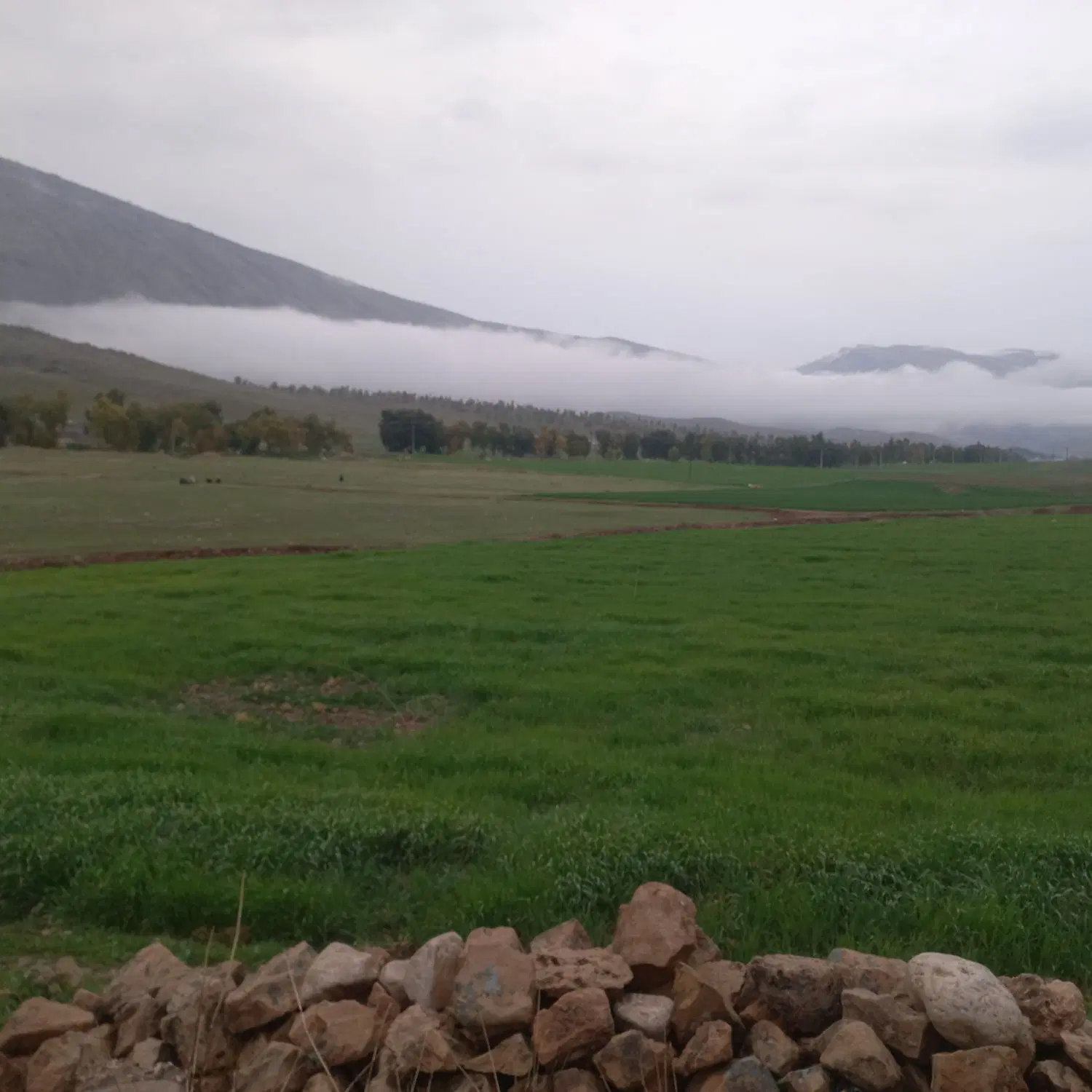 خانه ویلایی بلوار جمهوری