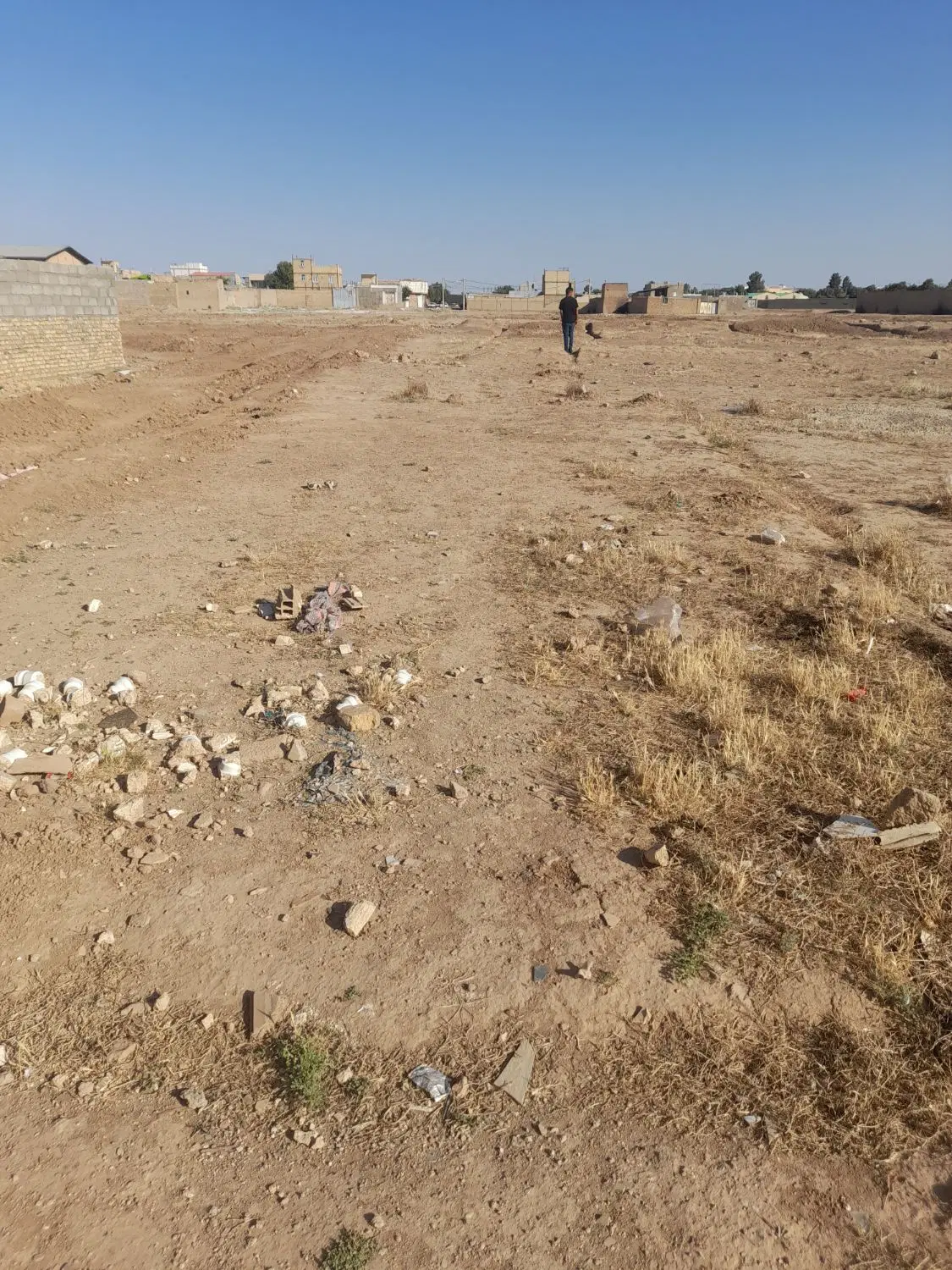 زمین مسکونی به مساحت ۲۰۰ میرسند سبز تک برگ