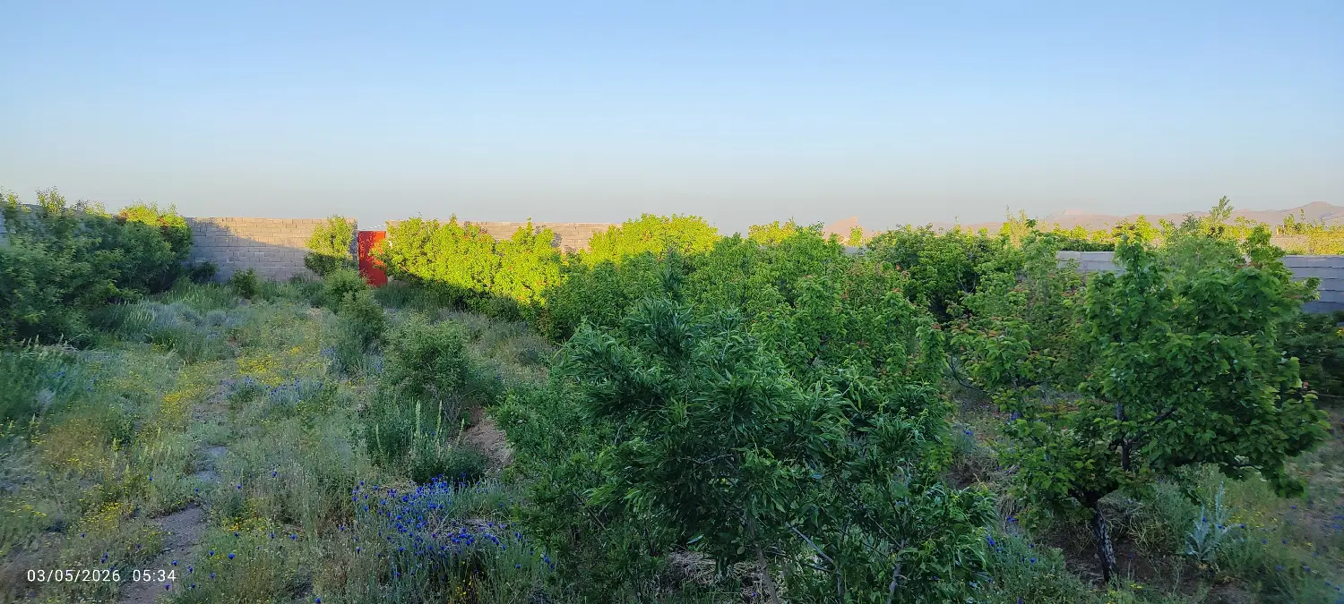 خانه باغ