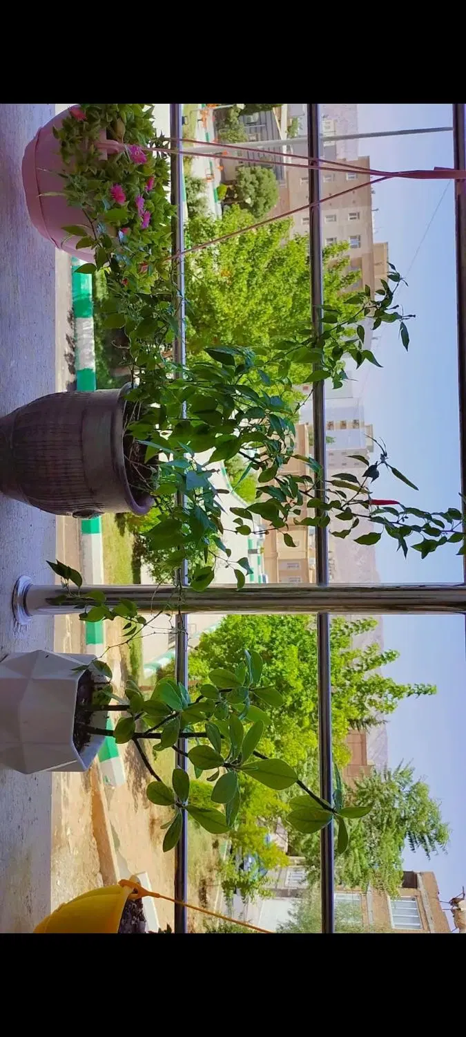 فروش واحد مسکونی بسیار شیک