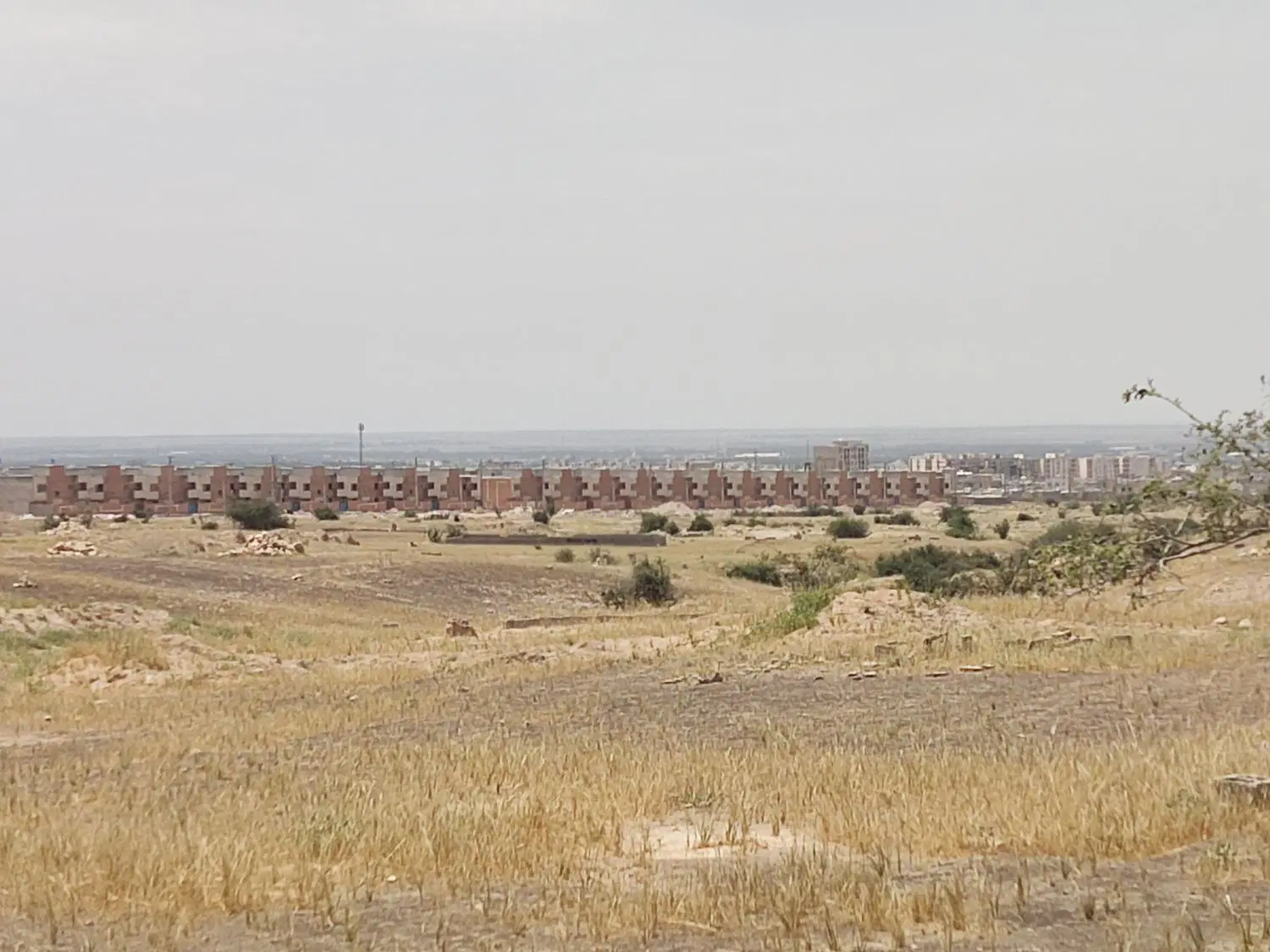 زمین
