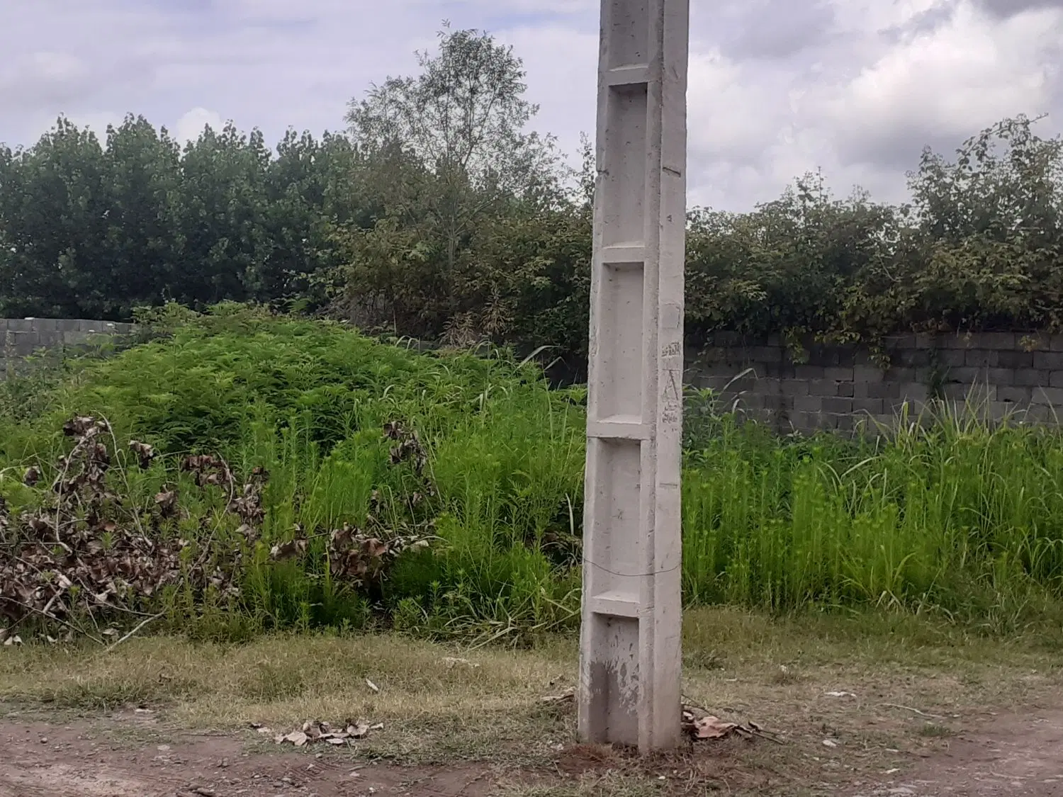 زمین 203 متری
